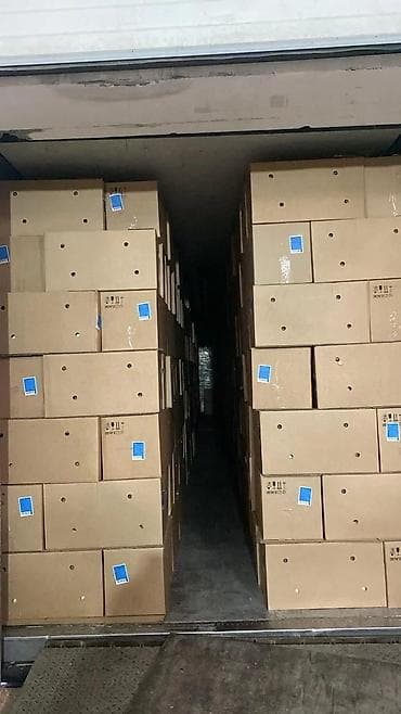 Яйца. Бишкек#Нарын#Ысык-Кол#Кант#Токмок#Кара-Балта#Сокулук