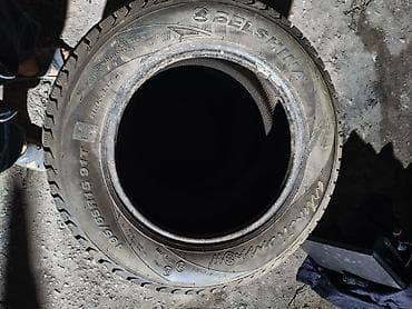 шыны на мтз: Шины 195 / 65 / R 15, Зима, Новый, Комплект, Легковые, Belshyna — 3