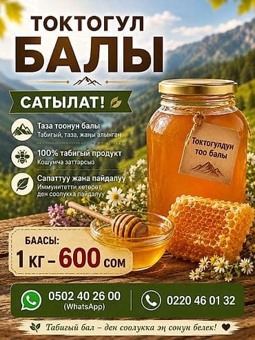 ат бишкек: Токтогульский горный мёд - Натуральный, свежий, без добавок - 100% — 3