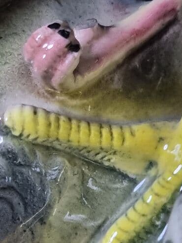 купить модели кораблей: СТАРИННАЯ АНТИКВАРНАЯ Статуэтка. ГЕРМАНИЯ ТРОФЕЙНАЯ. РАРИТЕТ — 6