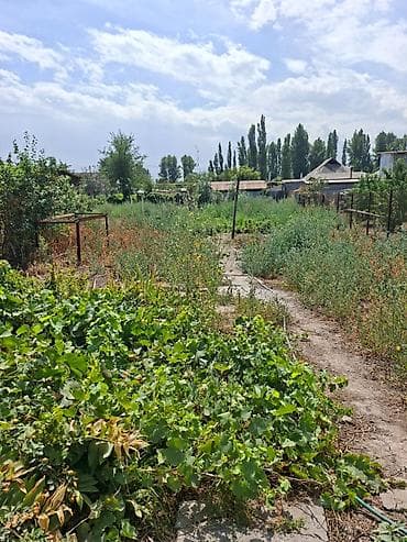 Недвижимость: Продается Дом с участком. В селе Новопокровка ул. Фрунзе/Крупская — 7