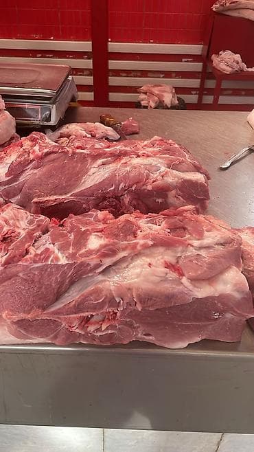 перевозка рыбы: Продажа мяса свинины, свежее домашнее, Привозное оптовые продажи — 7