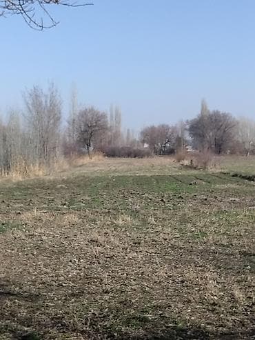 участок фурхат: Срочно продаю дом,рядом городом Кара-Балта.Село Вознесеновка улица — 4