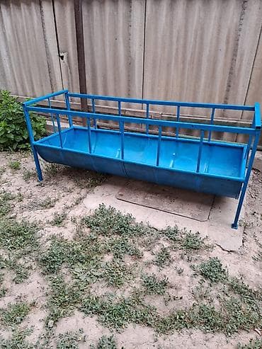 Аштоо. Узуну 180 см.

Баасы: 5000