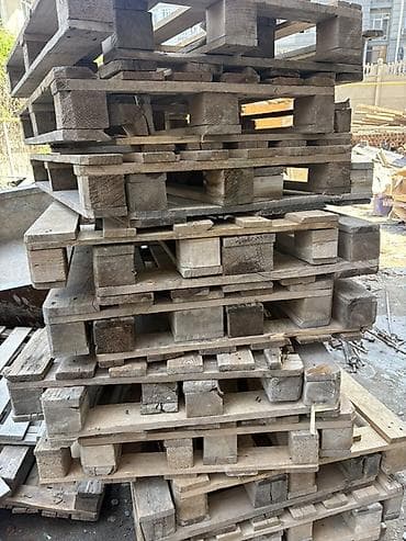 домашние птицы: Поддон В наличии — 1