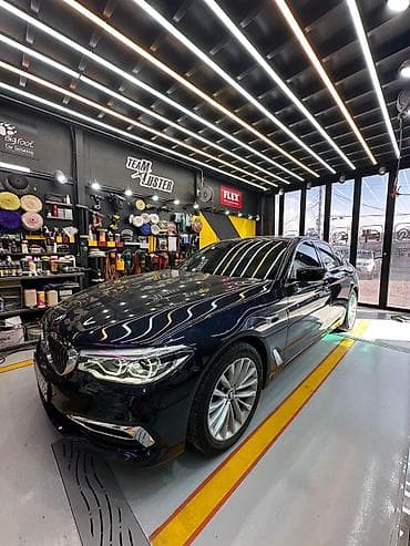 BMW 5 series: 2019 г., 2 л, Автомат, Бензин, Седан