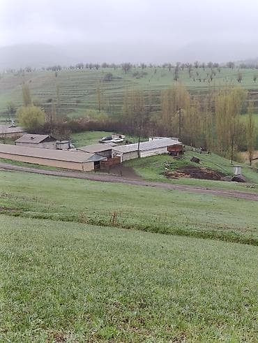 Ферма КРС, 25 соток, Действующий, С оборудованием, Электричество