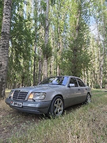 Mercedes-Benz W124: 1994 г., 3.2 л, Автомат, Газ, Седан — 2