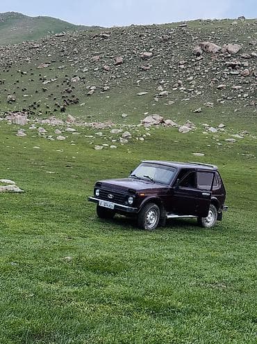 выкуп авто рф: ВАЗ (ЛАДА) 4x4 Нива: 2007 г., 1.7 л, Механика, Бензин, Внедорожник — 1