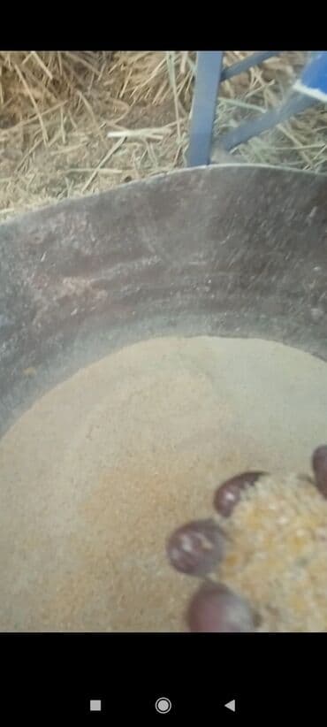 энисей комбайн: Дробилка: Дробилки универсальные Дробилки для сено Дробилки для зерно — 6