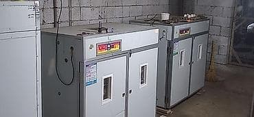 лехкий конструкция: Инкубатор для яиц - Вместимость: многополочный шкаф с — 3