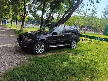 BMW: BMW X5: 2003 г., 3 л, Автомат, Дизель, Кроссовер — 2