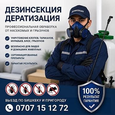 Дезинфекция, дезинсекция, | Муравьи, | Квартиры