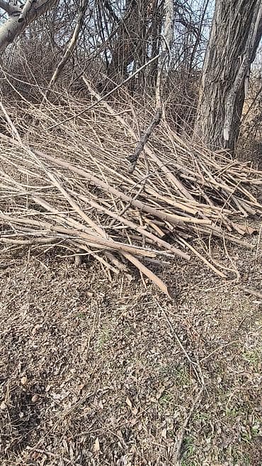 куплю лиса: Дрова — 2