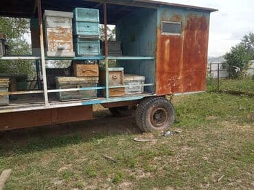 продажа домашних животных: Продаю пчелопавильон улики рассчитан на 40 -50 корп семей сделан — 8