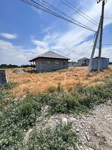 5 соток, Курулуш, Кызыл китеп, Сатып алуу-сатуу келишими — 6
