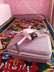 антирадар и видеорегистратор 2 в 1: Квадрокоптер DJI Mini 3 с пультом DJI RC-N1 если если усиленные — 10