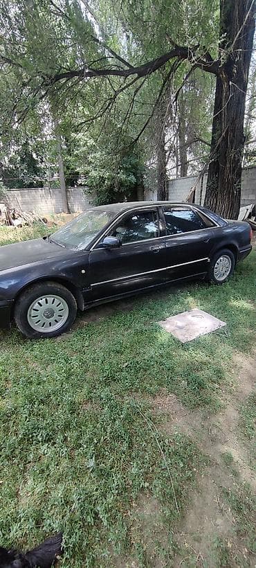 мерседес бенс а: Audi A8: 2001 г., Автомат, Бензин, Седан — 3