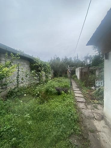 5 соток, Бизнес үчүн, Кызыл китеп — 2