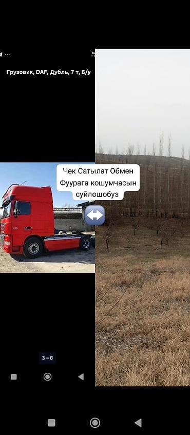 даф полик: Тягач, DAF, Без прицепа — 1