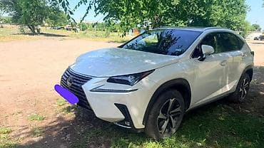 Lexus NX: 2020 г., 2.5 л, Автомат, Гибрид, Кроссовер