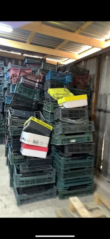 очок ош: Прием пластика — 2