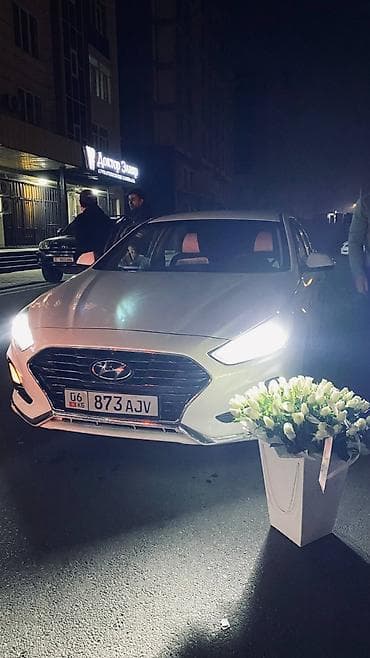 Hyundai Sonata: 2018 г., 2 л, Автомат, Газ, Седан