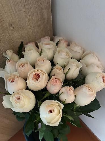 Букет из кремово-белых роз (около 21 бутонов) - Классические розы с