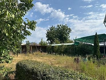 дачный участок сатылат: 4 соток, Красная книга — 3