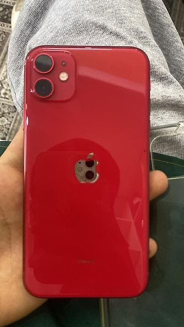 IPhone 11, 64 ГБ, Красный, Чехол, 77 %