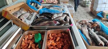 джалал абад покупайка: Дордой Фуд даяр бизнес точка сатылат! Продаётся готовый бизнес, точка — 8