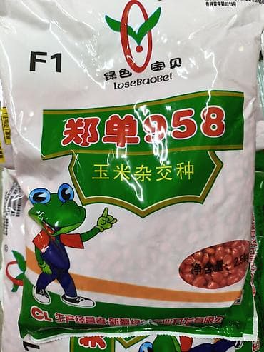 uakeen original: Семена кукурузы гибрид F1 «Zhengdan 958» (郑单958) - Назначение — 1