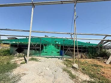 нижний чуй: 🐟 Продаётся действующее рыбное хозяйство с развитой инфраструктурой 📍 — 3