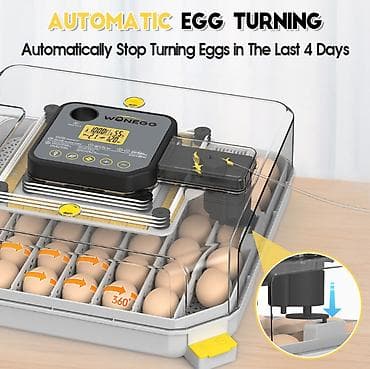 Оборудование для производства: Инкубатор для яиц WONEGG на 48 яиц - Вместимость: до 48 — 5