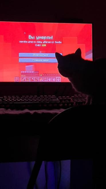 Монитор, LED, 24" - 25"