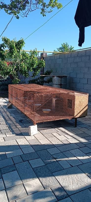 купить белку: Продаю отличные клетки для кролиководов. одна на четыри самки с — 1