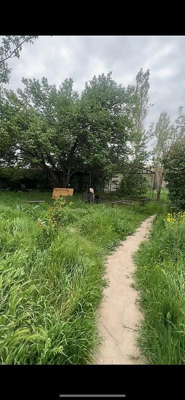 Жер тилкелери: 8 соток — 3