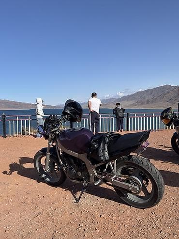 кросс мото: Мотоцикл «стрит/нейкед» классического формата . Suzuki gs 500 1992 — 2