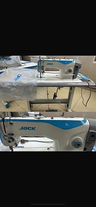 швейи: Jack — 1