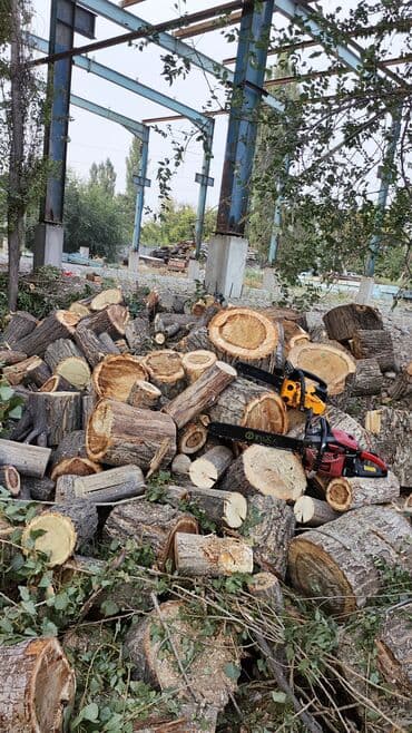 жангак алам: Тал, Бак, Жаңгак акацса Дуб Орехи терек карагач Отун кылып даярдап — 2