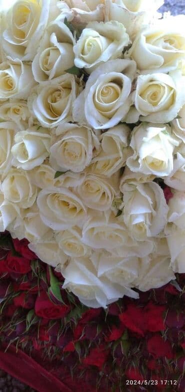 диваны турецкой: Роза кочоттор сатылат количество не ограничено — 4