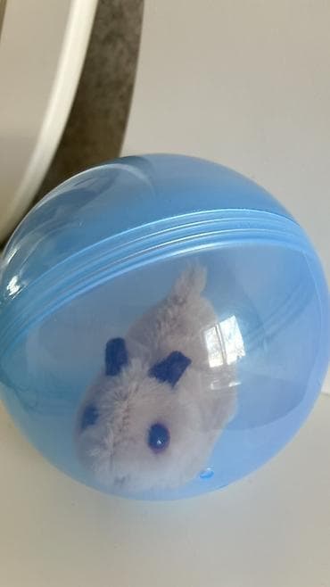 хомяки с клеткой: Интерактивная игрушка «Хомячок в шаре» - Плюшевый хомячок — 1