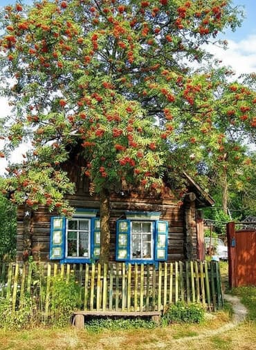 суточная комната: 1 комната, Собственник — 1