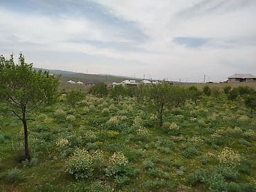 65 соток, Для сельского хозяйства