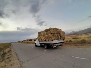 столешницы для кухни в бишкеке цены: Портер, Переезд, перевозка мебели, По региону, По стране, По городу, с грузчиком — 2