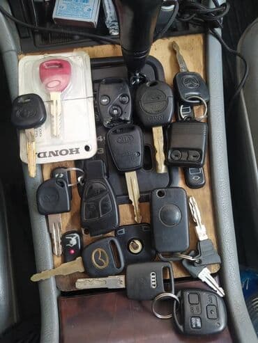 Бала бакчалар, бала багуучулар: Компьютердик диагностика, Автоунаа системаларын жөнгө салуу, адаптациялоо, баруу менен — 22