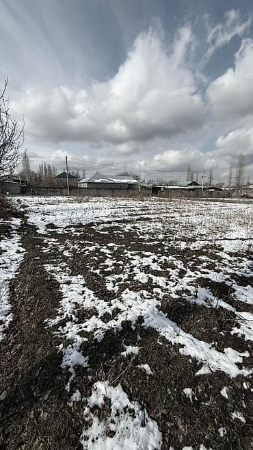 медеров: 5 соток, Кызыл китеп — 2