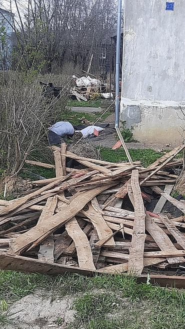 Уборка территории: Уборка территории, Уборка двора и сада — 2