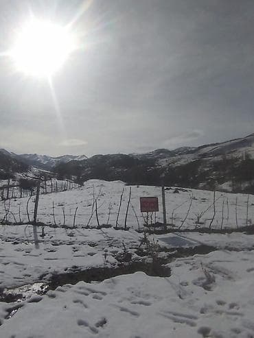 кок жар ж м: 150 соток, Айыл чарба үчүн, Кызыл китеп — 10