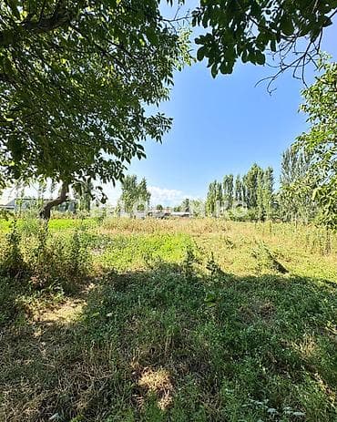 Кыймылсыз мүлк: 🏠Продается дом в с. Беловодское Верхняя зона, до трассы - 800м Хорошая — 4